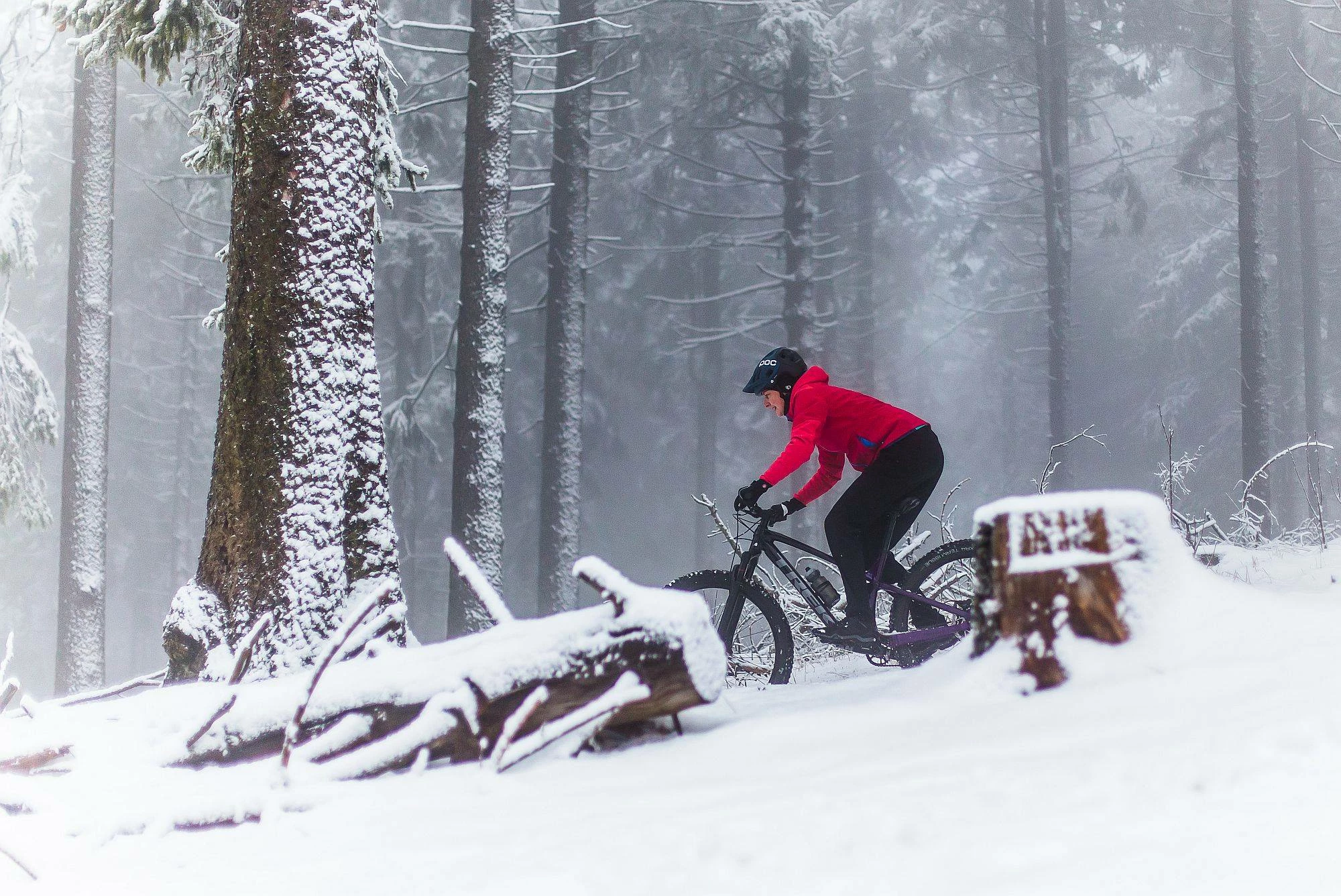 Kassetten Verkäufe -Kassetten Verkäufe 147681448 3973785612652442 1360235826666268607 n