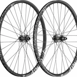 DT Swiss FR 1950 Classic 30 Laufradsatz 29 Zoll